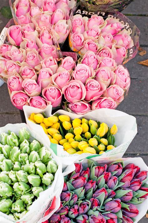 Visalia florist / touch of roses, located in visalia, california, is at south mooney boulevard 2909. Wholesale Flowers in Visalia, CA
