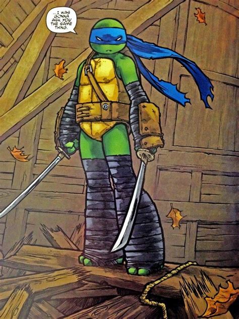 Pin By Nick Negrete On Tmnt Character Tmnt Zelda Characters