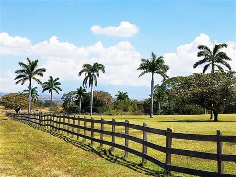 In the event that you do not find your dream property in malaysia, you can directly contact any of our member estate agents who advertise on property in malaysia. Biggest farm ranch land for sale in Costa Rica, ID CODE: #3349