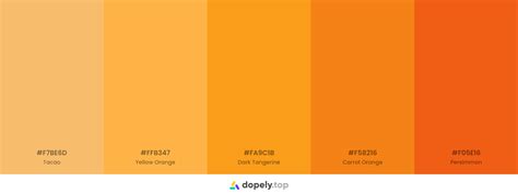 10 Orange Color Palette Inspirations With Names And Hex Codes Inside