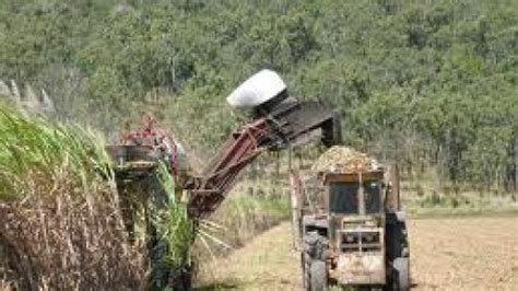 Sugar Producers Urged To Increase Production Rjr News Jamaican News