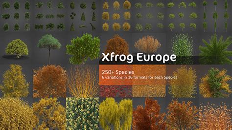Xfrog Europe 3d Model Collection Cgtrader