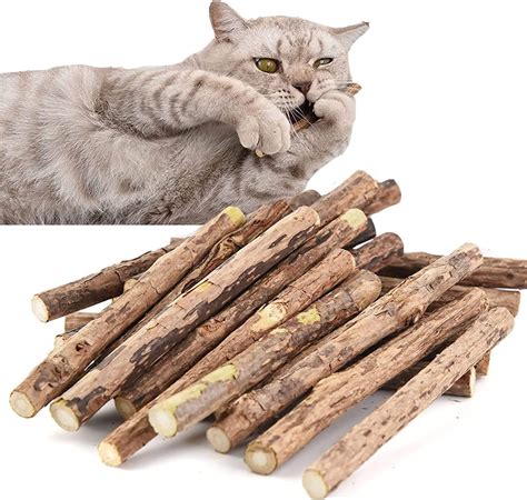 Huirumm Cat Catnip Sticks 40 Pcs Chew Sticks For Cats Chew Toy Cat