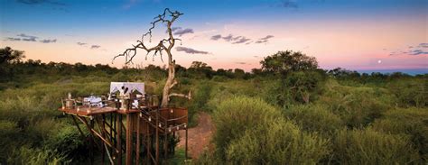 The Best South African Luxury Safari Lodges Extraordinary Journeys