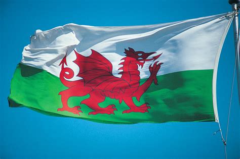 威尔士的象征 Walescn