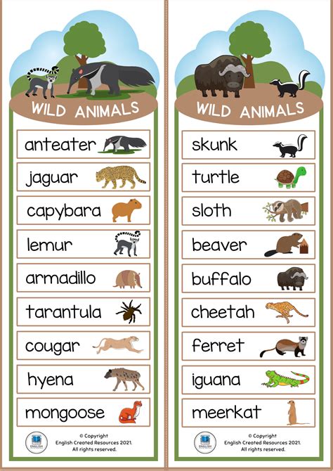 Animals Vocabulary Charts English Created Resources