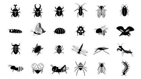 Ilustración De Conjunto De Insectos Y Más Vectores Libres De Derechos
