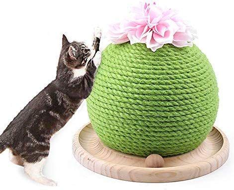 Thingiverse is a universe of things. Amazon.com: MOGOI Cactus Cat Scratcher, Cute Sisal Cat ...