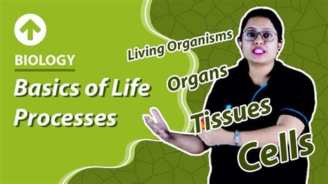 Basics Of Life Processes Life Process Class 10 Biology Youtube