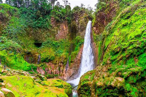 Waterfall Catarata Del Toro A Hidden Oasis Tico Travel