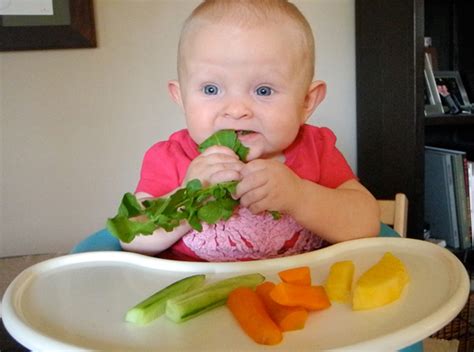 Baby Led Weaning Alimentación Complementaria A Trocitos ️