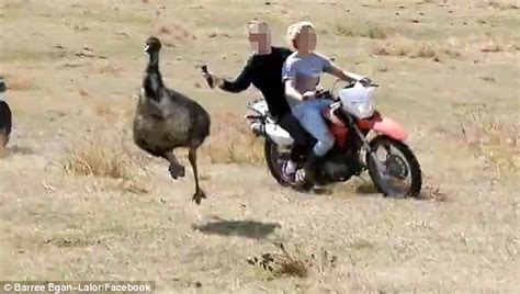 This is a story of a spirits and her revenge against every unfaithful man who cheats to their wife for another girl. Shocking moment a group of teens on motorcycles and quad ...