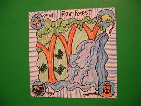 The main reason why drawing these different. Let's Draw an Animal Habitat-The Rain forest! - YouTube