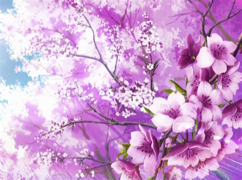 Jun 15, 2021 · half moe, pink hair, yae sakura, yae sakura (honkai impact), honkai impact, bunny ears | 2560x1440 wallpaper Sakura Wallpaper HD - WallpaperSafari
