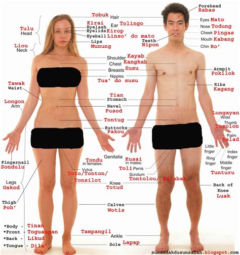 7 parts of your body that might actually be useless. Sumandak Dusun Sabah: Let's Learn Dusun Language IV