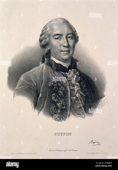 Georges Louis Leclerc Comte De Buffon Lithograph By Z Belliard Stock