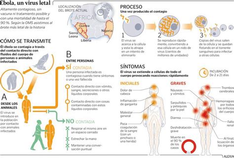 Ebola 2 is created in the spirit of the great classics of survival horrors. ENFERMERÍA BLOG / El Ébola llega a España