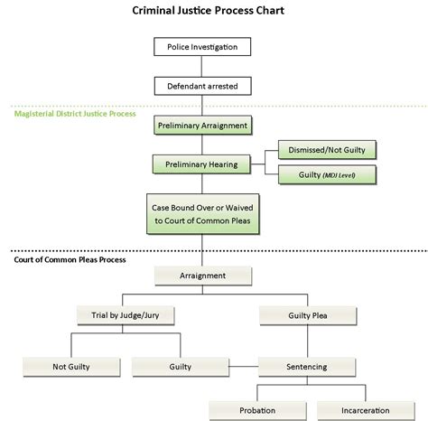 Malaysia is the last chain of the criminal justice system in malaysia. Procedures of a criminal case