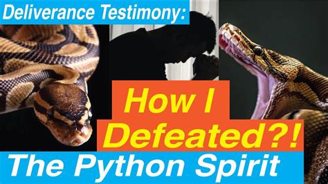 Deliverance Testimony How To Defeat Python Spirit Youtube