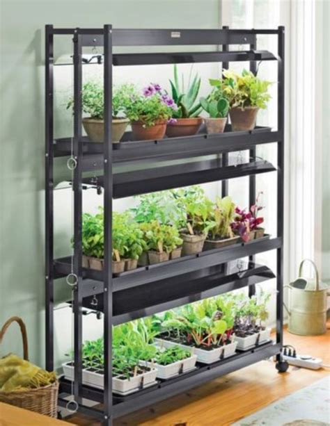 35 Indoor Garden Ideas For Beginner In Small Space