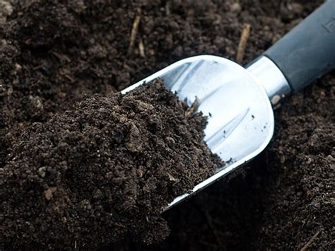 Uno dei modi più semplici per rendere il suolo più acido è aggiungere la torba di sfagno. Come Rendere Un Terreno Acido