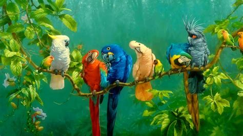 Download Parrot Birds Art Colorful 1920x1080 Wallpaper Full Hd