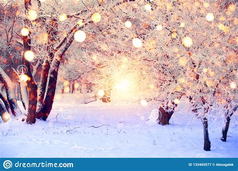 Winter Forest With Colorful Snowflakes Snow Covered Trees With