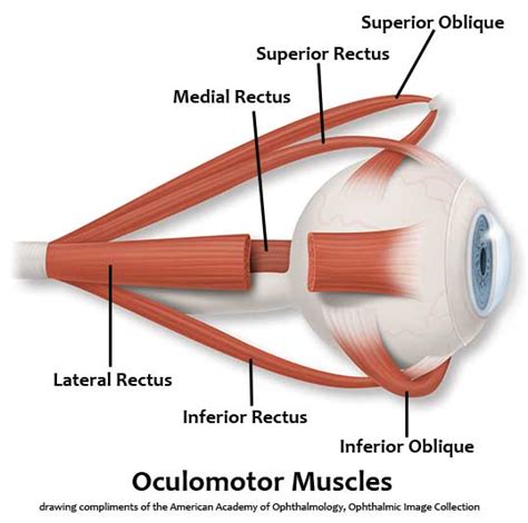 Pediatric Ophthalmology Eyerounds Video Atlas Ophthalmology The