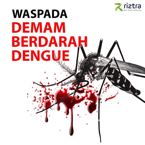 Waspada Demam Berdarah Dengue Riztra