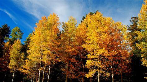 Heres Where To See Arizonas Fall Colors