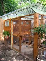 Roof For Chicken Coop Photos