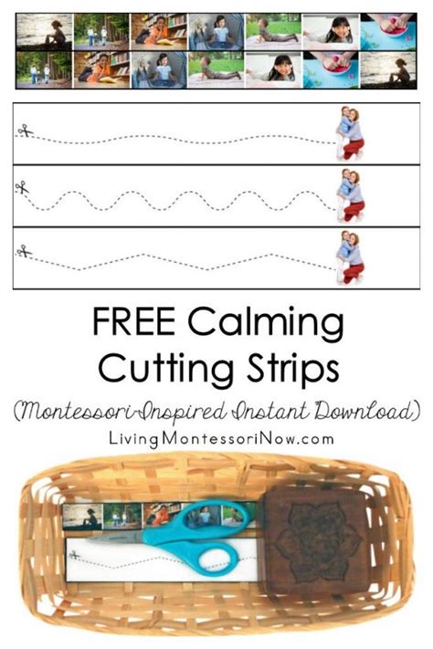 Free Calming Cutting Strips Montessori Inspired Instant Download