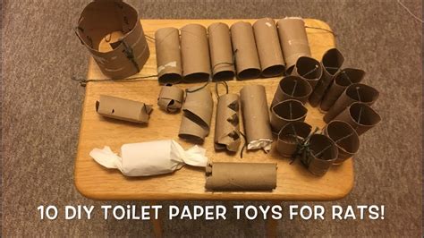 3 diy rat foraging toys for busy people. 10 Awesome DIY Rat Toys to make with Toilet Paper Rolls ...