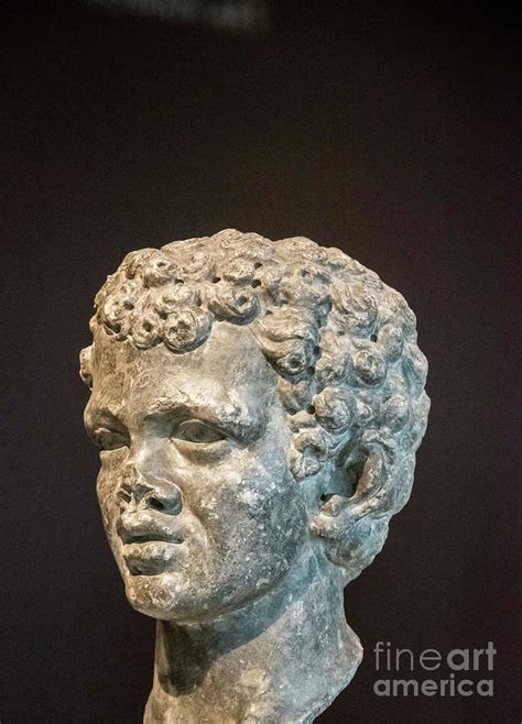 Roman Bust Photograph By David Bearden Pixels