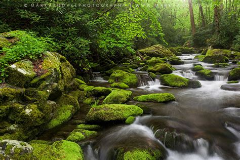 Great Smoky Mountains Roaring Fork Spring Green Roaring Fo Flickr