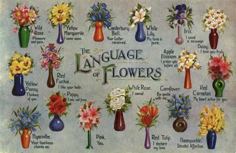 floriography the language of flowers amlit