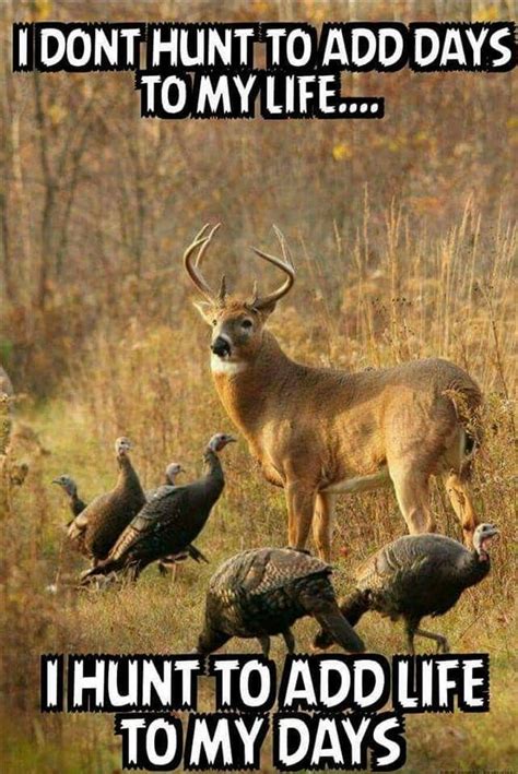 Pin By Kaleb Gade On Hunting N Such Deer Hunting Tips Hunting Jokes