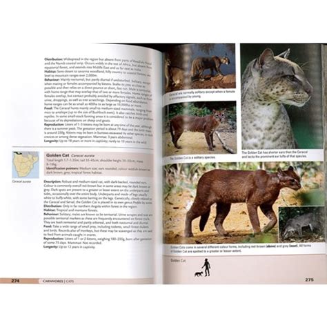 Stuarts Field Guide To Mammals Of Southern Africa Stuart And Naturbutiken
