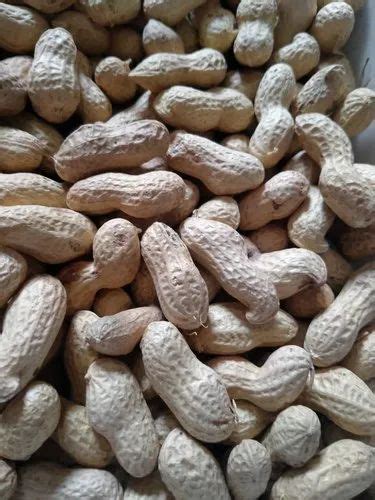 Raw Mungfali Groundnut 500 G At Rs 72kg In Jaipur Id 22991096362