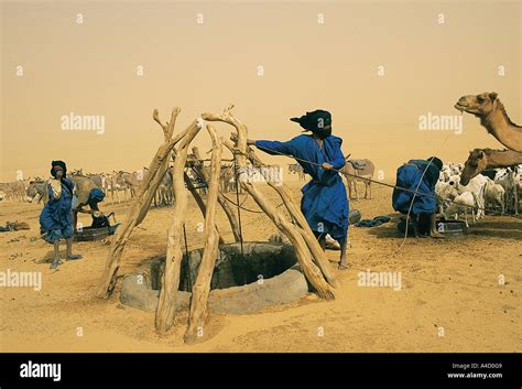 Salt Caravan Camping Around A Water Well In Great Sahara Mali Stock
