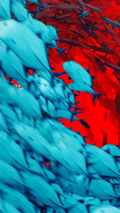Blue And Red Texture 4k Hd Abstract Wallpapers Hd Wallpapers Id 38386