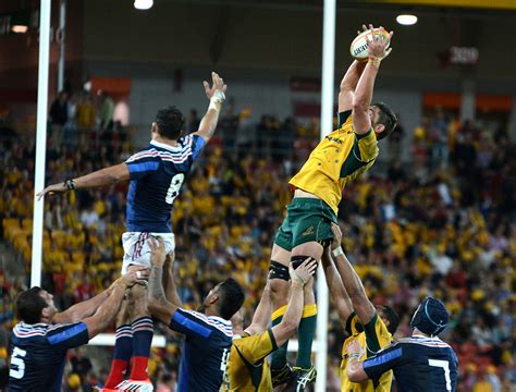 Wallabies v. France : Team Announcement - Green and Gold Rugby
