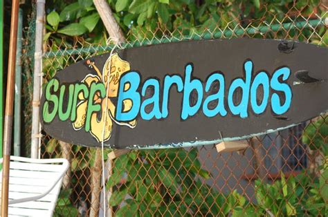 Behind both hotels is the town centre which has seen better days but has a wide variety of shops and mostly budget orientated restaurants. Barry's Surf Barbados Surf School (Dover) - 2020 All You ...