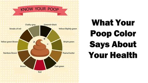 With paul newman, tom cruise, mary elizabeth mastrantonio, helen shaver. What the colour of your poop tells you > ALQURUMRESORT.COM
