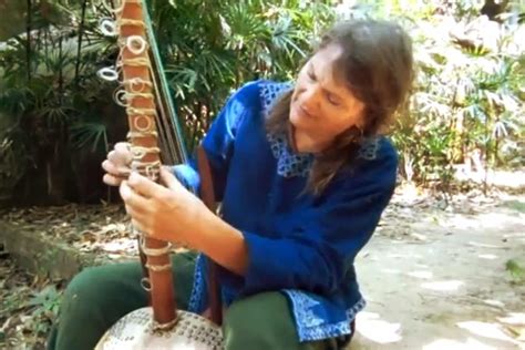 the kora instrument string musical instrument phamox music