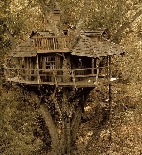 99 Best Club Housees Or Tree Houses Images Cool Tree Houses Play
