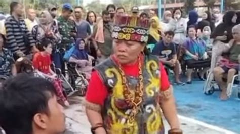 dayak v98