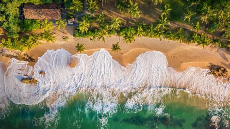 Nature Landscape Sand Aerial View Birds Eye View Water Trees Coast