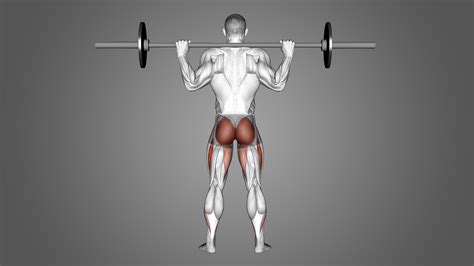Foot Positioning For Squats Cues Angle Width And More Inspire Us