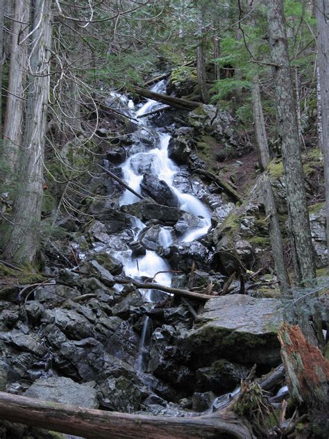 Happy Creek Nature Trail — Washington Trails Association